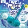 WC FRISCH Kraft Aktiv Türkisspüler Meeresfrische 50g WC-Reiniger Reinigung