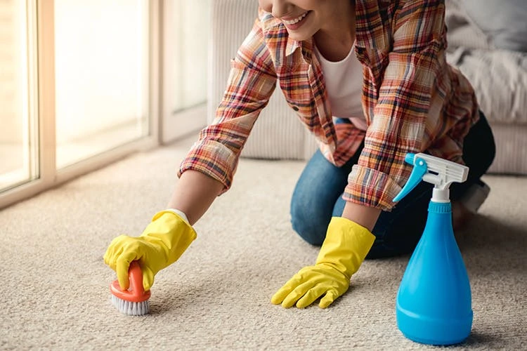 BiOHY Teppichshampoo (6x1l Flasche) | Teppichreiniger Ideal Zur Entfernung Von Hartnäckigen Flecken | SPEZIELL FÜR WASCHSAUGER ENTWICKELT – Bild 7